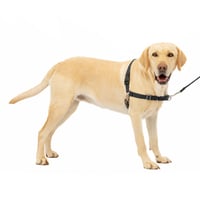 Postroj pre psov PetSafe Easy Walk s 1,8 m vodítkom – veľkosť L, čierny 1