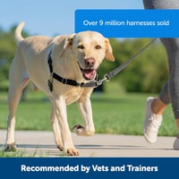 PetSafe Easy Walk Kutyahám 1,8m Pórázzal - Kényelmes Húzásgátló 3