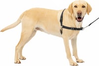 PetSafe Easy Walk Kutyahám 1,8m Pórázzal - Kényelmes Húzásgátló 1