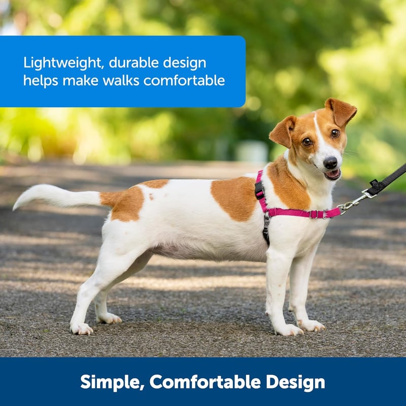 PetSafe Easy Walk Kutyahám 1,8m Pórázzal - Kényelmes Húzásgátló