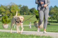 PetSafe Easy Walk kutyahám, nagy méret, piros - húzás elleni kiképzési hám 8