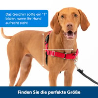 Postroj pre psa PetSafe Easy Walk s vôdzkou, veľkosť Medium, čierny – pohodlný, ľahko nasaditeľný, proti ťahaniu 5