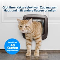 PetSafe Mikrochipes Macskaajtó - Kizárólagos Belépés 7 kg-ig, Egyszerű Telepítés, 4-irányú Zárrendszer, Energiatakarékos, Huzatgátló, Barna 5
