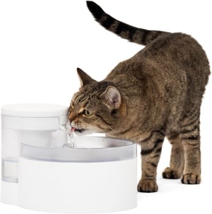 Fontana za vodu PetSafe Outlast bez pumpe, sa filterom - 1,7 L