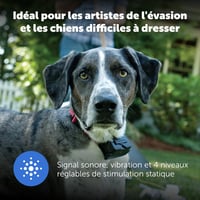PetSafe PRF-3004XW-20 Podzemný elektrický ohradník pre tvrdohlavé a veľké psy nad 20 kg 5
