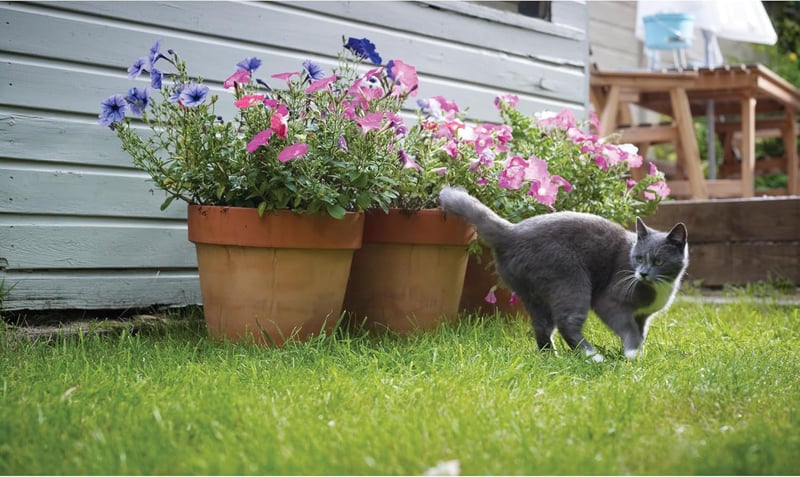 PetSafe Staywell Luxus mágneses macskaajtó fehér
