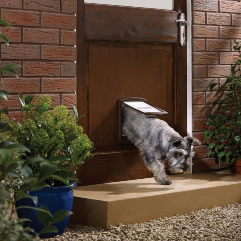 PetSafe Staywell Original Macska és Kutya Ajtó S Méret Barna
