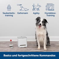 PetSafe Teach and Treat távirányítós kutyaedukátor jutalmazó tréner pozitív megerősítés 2