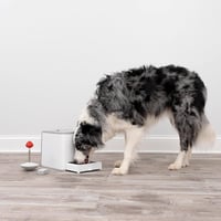 PetSafe Teach and Treat távirányítós kutyaedukátor jutalmazó tréner pozitív megerősítés 7