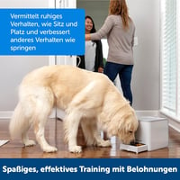 PetSafe Teach and Treat távirányítós kutyaedukátor jutalmazó tréner pozitív megerősítés 5