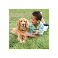PetSafe Drôtový ohradník pre psov - 6 V elektrický systém proti úteku 3
