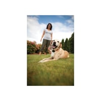 PetSafe Drôtový ohradník pre psov - 6 V elektrický systém proti úteku 2