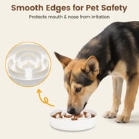 PETTOM Csúszásmentes Kerámia Kutyatál 21cm, Lassú Evés Tál Nagyobb Kutyáknak 5