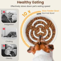 PETTOM Csúszásmentes Kerámia Kutyatál 21cm, Lassú Evés Tál Nagyobb Kutyáknak 2