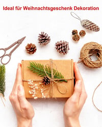 Pextian 28 db Havas Fenyőtoboz Szett - Karácsonyi Dekoráció Függő Zsinórral - Fenyőfa, Adventi Koszorú Díszítés, Téli DIY Kézműves Kellék 3