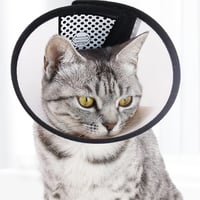 PHCOZY guler elisabetan pentru câini și pisici, guler de protecție ușor din plastic pentru pisoi și cățeluși, mărimea XS (18-22 cm) 6