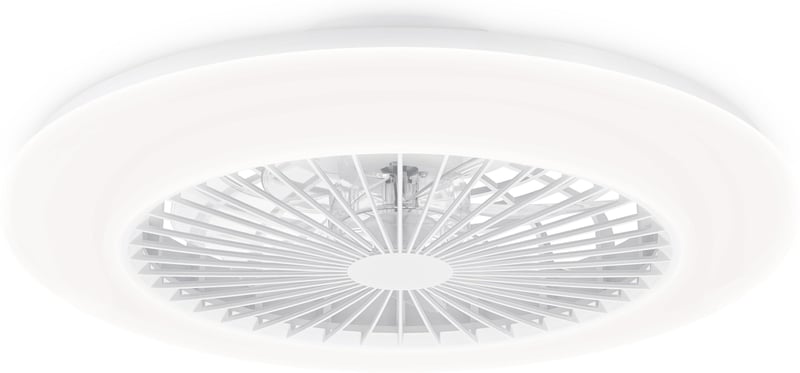 Philips Amigo stropni ventilator i LED stropna svjetiljka, 25W+60W, promjer 58 cm, okrugli, s daljinskim upravljačem, bijeli