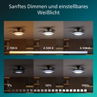 Stropný ventilátor Philips Bliss LED so sťahovateľnými lopatkami, 106 cm, čierny, 4500 lm, nastaviteľné svetlo (3000K-6500K), s diaľkovým ovládaním 7