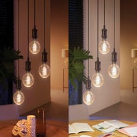 Bec LED Philips Hue E27 Filament Globe Mare - Lampă Smart Vintage Sferică, Intensitate Reglabilă 5