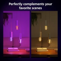 Philips Hue Lightguide G95 okos izzó, fehér és színes fény, Bluetooth, Alexa - Globe G95 4