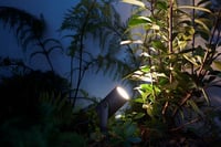 Philips Hue Lily vanjski vrtni reflektor, standardni komplet s napajanjem od 40 W 5