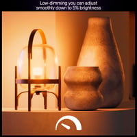 Inteligentná LED žiarovka Philips Hue A67, teplé biele svetlo 2700K, pätica E27, 13,5W, 1600 lúmenov, stmievateľná, kompatibilná s Alexa a Google Assistant 3