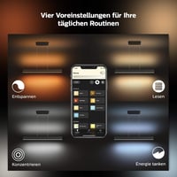 Závesné LED svietidlo Philips Hue White and Color Ambiance Ensis, čierne, 5500 lm, 16 miliónov farieb, stmievateľné, ovládanie aplikáciou, kompatibilné s Alexa 5