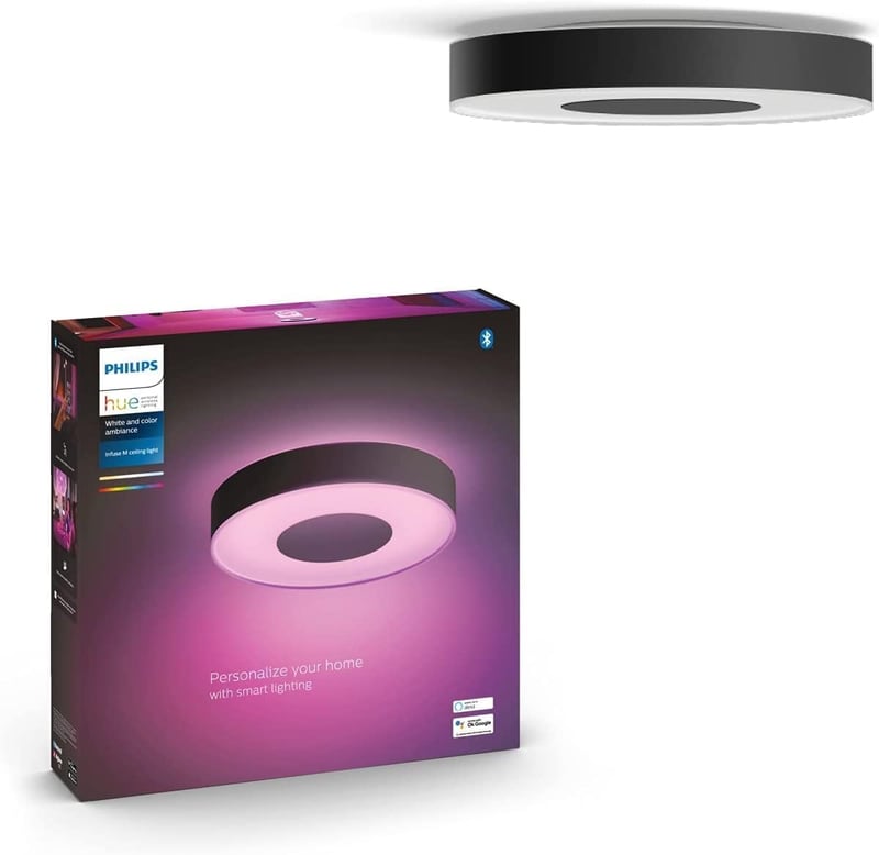Stropné svietidlo Philips Hue White & Color Ambiance Infuse, veľkosť M, čierne, 2100 lm, stmievateľné, 16 miliónov farieb, ovládanie cez Alexu a aplikáciu