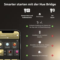 Philips Hue White E27 filament velika globus žarulja G125, 550 lm, toplo bijelo svjetlo, prigušiva, upravljanje putem aplikacije, kompatibilna s Alexom, 1 kom. 7