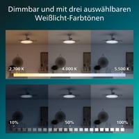 Stropný ventilátor PHILIPS s LED osvetlením, 3 zasúvateľné lopatky, 106 cm, 4500 lm, 2700/4000/5500 K, s diaľkovým ovládaním, stmievateľný, biely 6