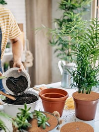 Photener Kókuszrost Növényvédő Takaró - 60 cm Kerek, 4 db-os Csomag, Téli Fagyvédelem, Gyommentesítő, Természetes Anyagból

AI: I've created 7