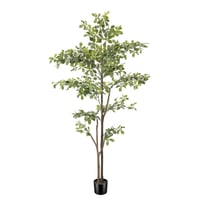 PHYTREE umjetna maslina s prirodnim deblom i pravim listovima - 180 cm 1