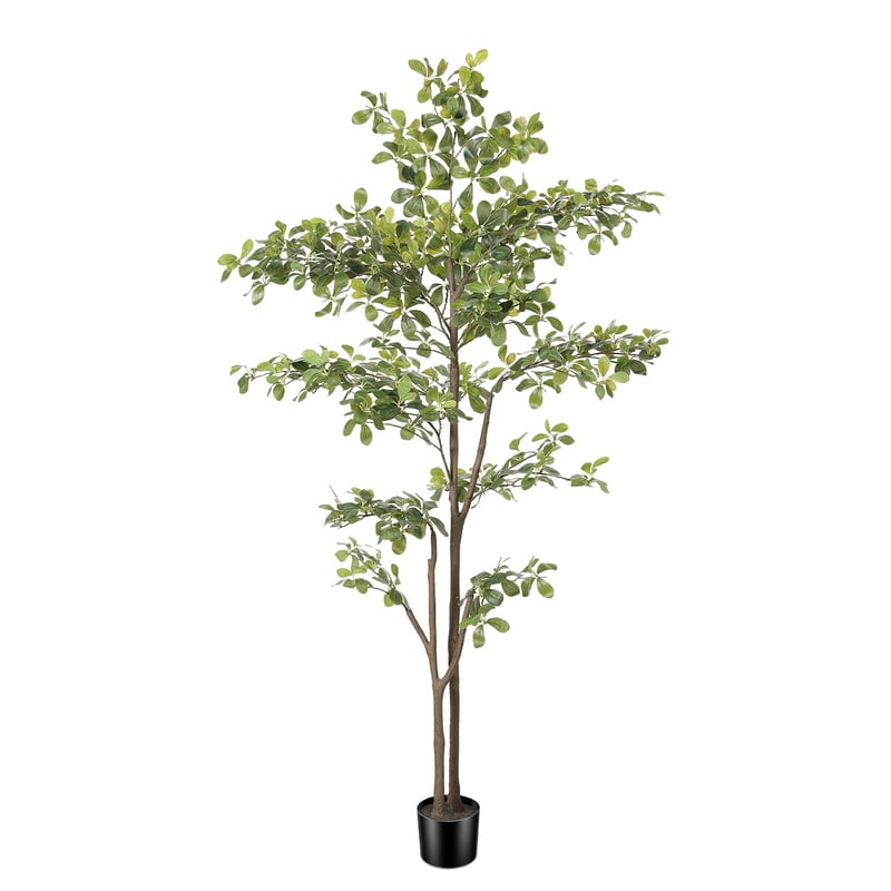 PHYTREE umjetna maslina s prirodnim deblom i pravim listovima - 180 cm