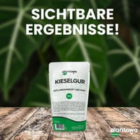 PLANTAWA Pământ Diatomee Pudră 1 kg, 100% Natural, Necalcinat, Alb, Insecticid pentru Grădină și Casă, Împotriva Gândacilor și Ploșnițelor, Fără Substanțe Chimice 6