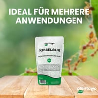 PLANTAWA Pământ Diatomee Pudră 1 kg, 100% Natural, Necalcinat, Alb, Insecticid pentru Grădină și Casă, Împotriva Gândacilor și Ploșnițelor, Fără Substanțe Chimice 7