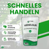 PLANTAWA Pământ Diatomee Pudră 1 kg, 100% Natural, Necalcinat, Alb, Insecticid pentru Grădină și Casă, Împotriva Gândacilor și Ploșnițelor, Fără Substanțe Chimice 3