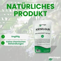 PLANTAWA Pământ Diatomee Pudră 1 kg, 100% Natural, Necalcinat, Alb, Insecticid pentru Grădină și Casă, Împotriva Gândacilor și Ploșnițelor, Fără Substanțe Chimice 4