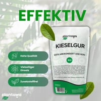 PLANTAWA Pământ Diatomee Pudră 1 kg, 100% Natural, Necalcinat, Alb, Insecticid pentru Grădină și Casă, Împotriva Gândacilor și Ploșnițelor, Fără Substanțe Chimice 2