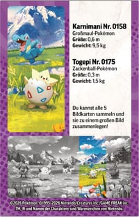 Pokémon Kartová hra Mini Tin Box Mega Evolúcia – Vznešení hrdinovia: Togepi a Totodile – 1 hárok nálepiek, 1 pohľadnica, 2 posilňovacie balíčky (boostery) 5