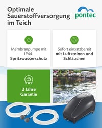 Pontec PondoAir Set 200 set za prozračivanje jezerca – opskrba kisikom za jezerca, maks. 2000 l, crni 2
