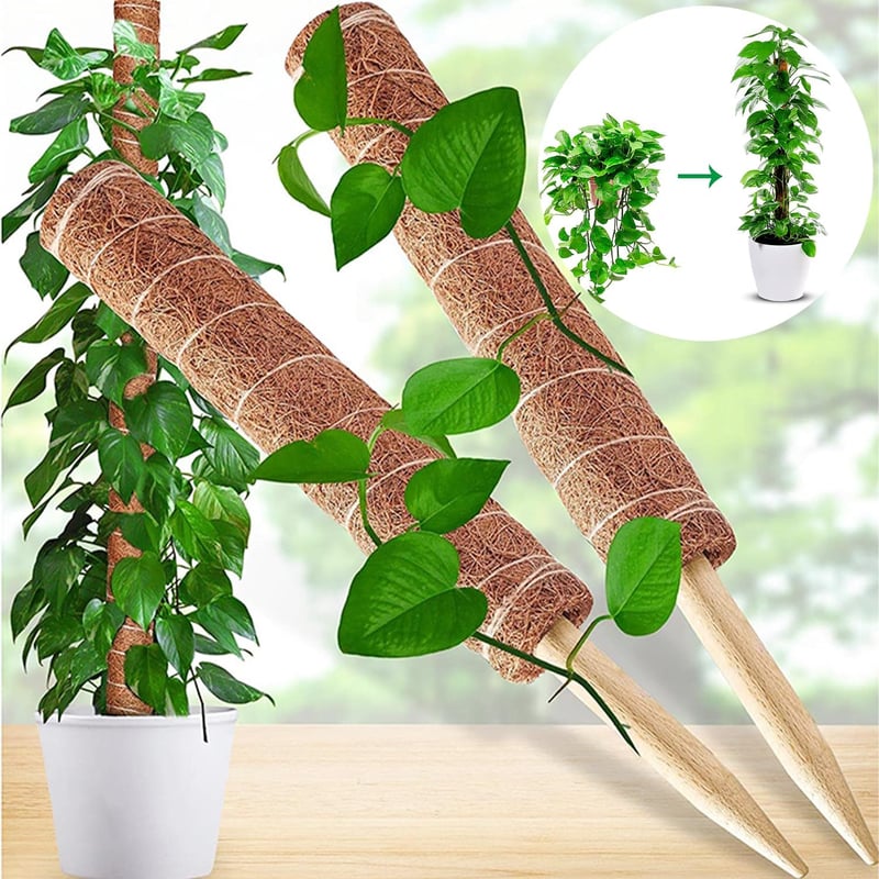 POXIAOER Moss Pole 40cm Kúszónövény Támasz 3db Monstera Kokosztüskés Rúd