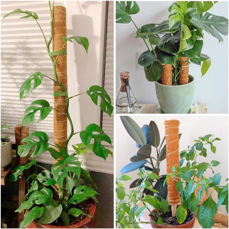 POXIAOER Moss Pole 40cm Kúszónövény Támasz 3db Monstera Kokosztüskés Rúd