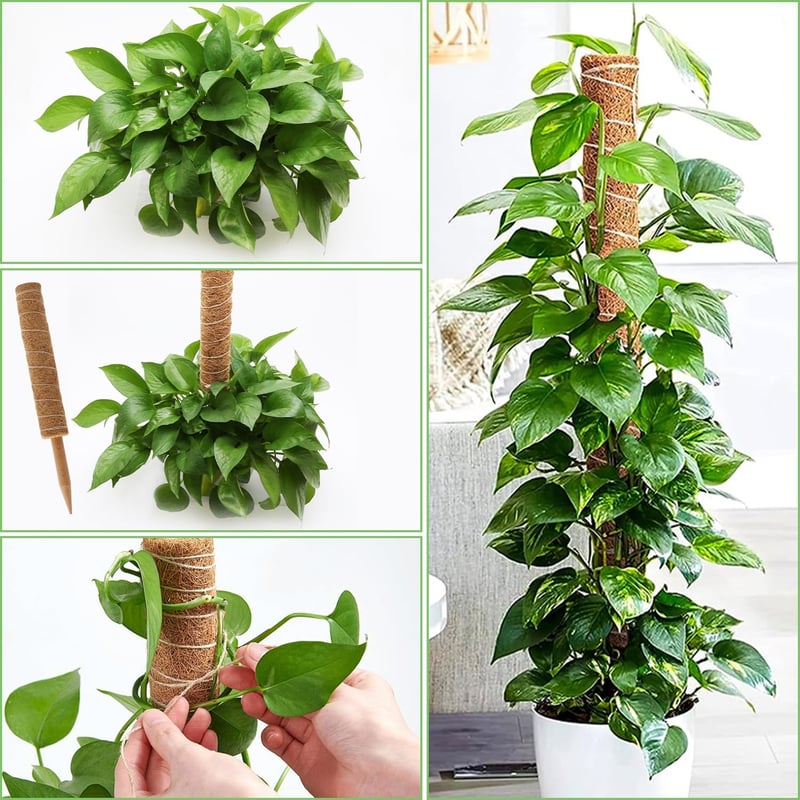 POXIAOER Moss Pole 40cm Kúszónövény Támasz 3db Monstera Kokosztüskés Rúd