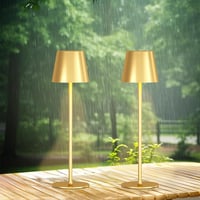 PreeOtti Lampă de masă LED fără fir pentru exterior, cu control tactil, reîncărcabilă prin USB-C, reglabilă, 3 temperaturi de culoare, set de 2, auriu 8