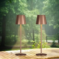 PreeOtti Wireless LED Asztali Lámpa 2db, Dimmer, USB-C, Barna 8