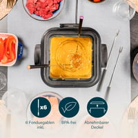 Princess Rozsdamentes Fritőz és Fondue Készülék 4