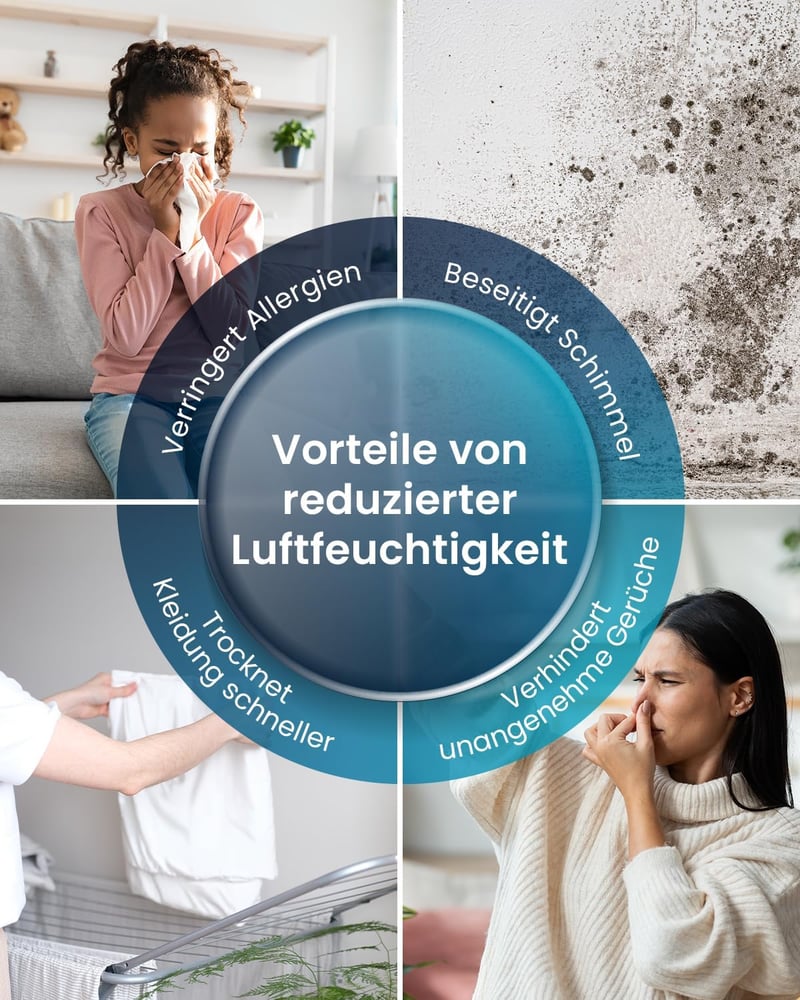 Pro Breeze OmniDry 12L páramentesítő digitális kijelzővel és időzítővel