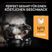 Pro Plan Adult suha hrana za srednje velike pse s piletinom - 14 kg 6