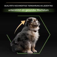 Hrană uscată pentru pui de talie medie Pro Plan Medium Puppy Healthy Start cu pui – 12 kg 6
