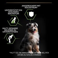 Hrană uscată pentru pui de talie medie Pro Plan Medium Puppy Healthy Start cu pui – 12 kg 5
